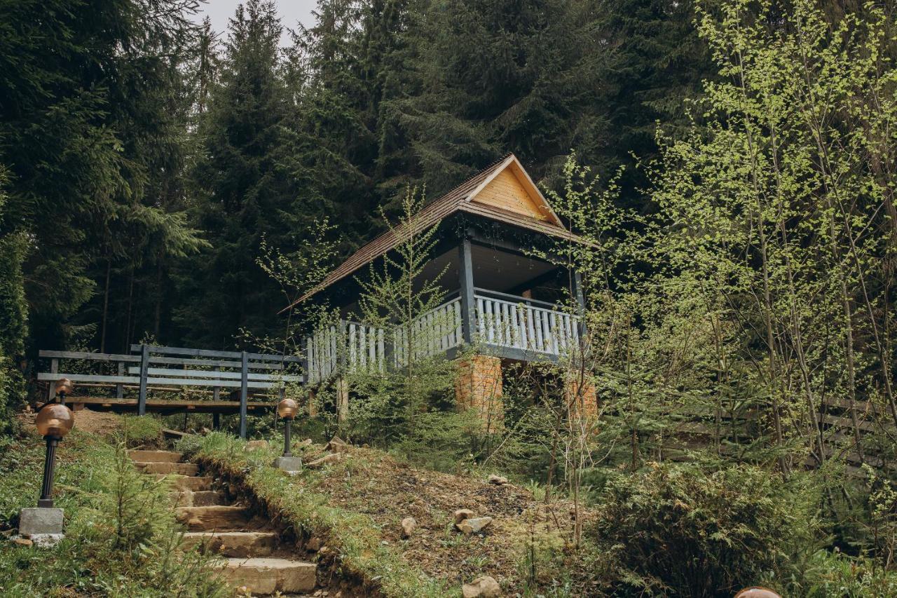 Hotel Vedmezhyi Dvir Bukovel Dış mekan fotoğraf