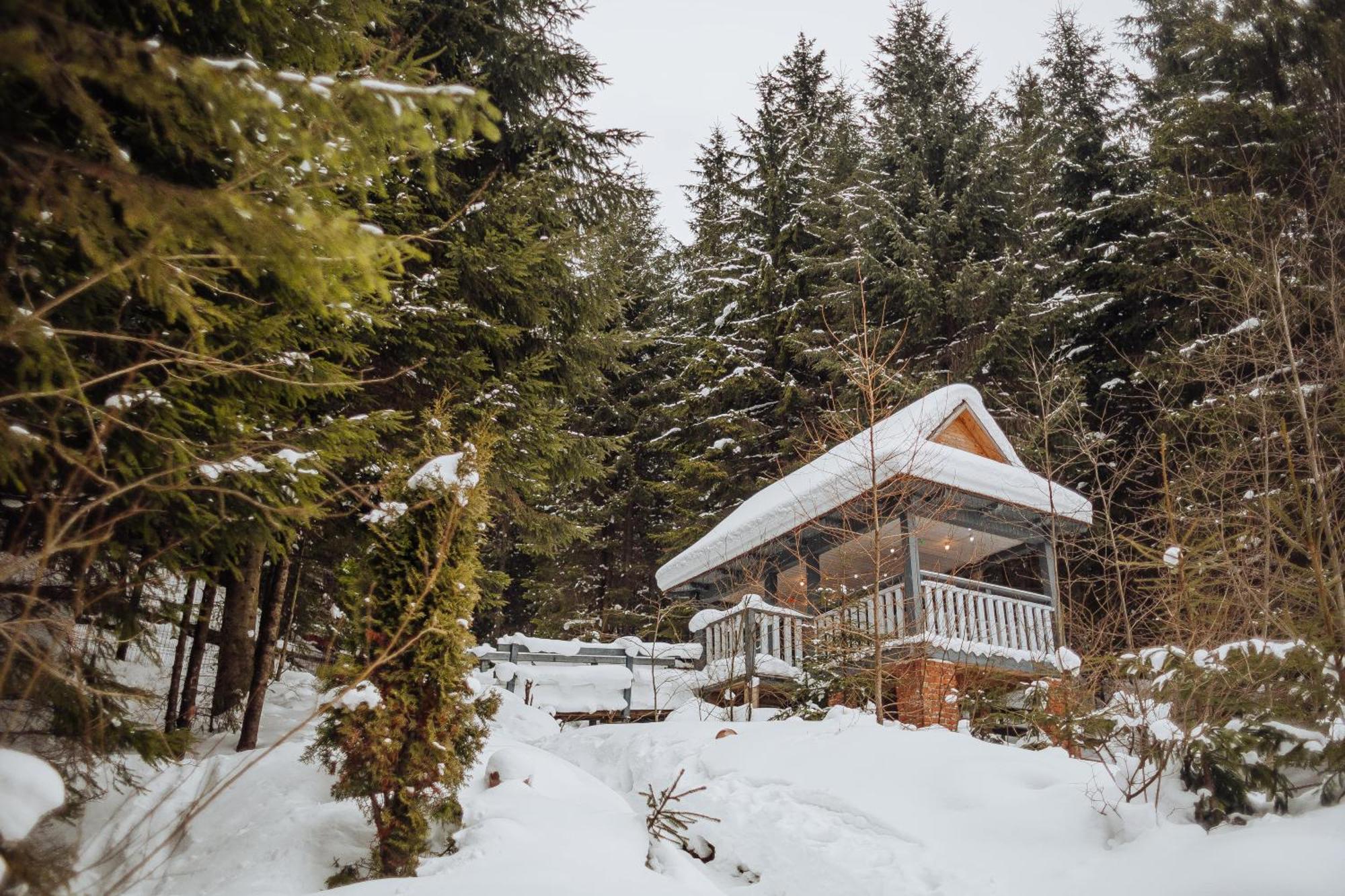 Hotel Vedmezhyi Dvir Bukovel Dış mekan fotoğraf