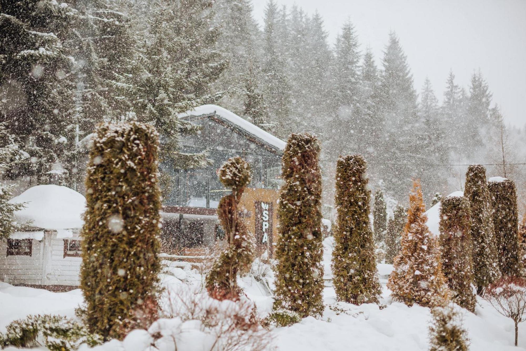 Hotel Vedmezhyi Dvir Bukovel Dış mekan fotoğraf